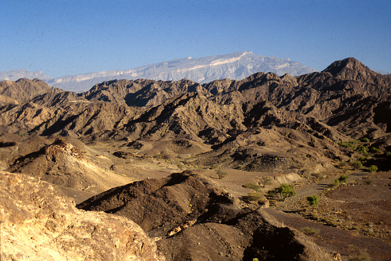 Oman ophiolite